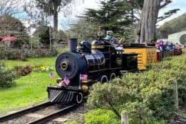 Free Attractions for Little Kids in San Ramon California