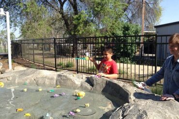 Free Attractions for Little Kids in Visalia California