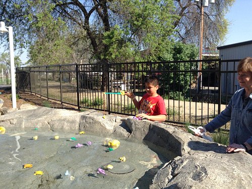 Free Attractions for Little Kids in Visalia California