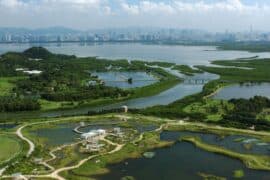 Free Attractions for Little Kids in Yuen Long New Territories