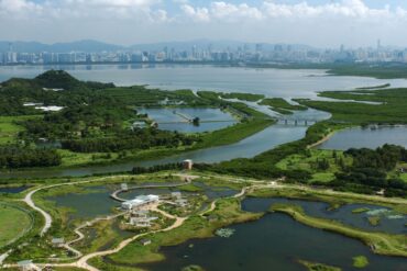 Free Attractions for Little Kids in Yuen Long New Territories