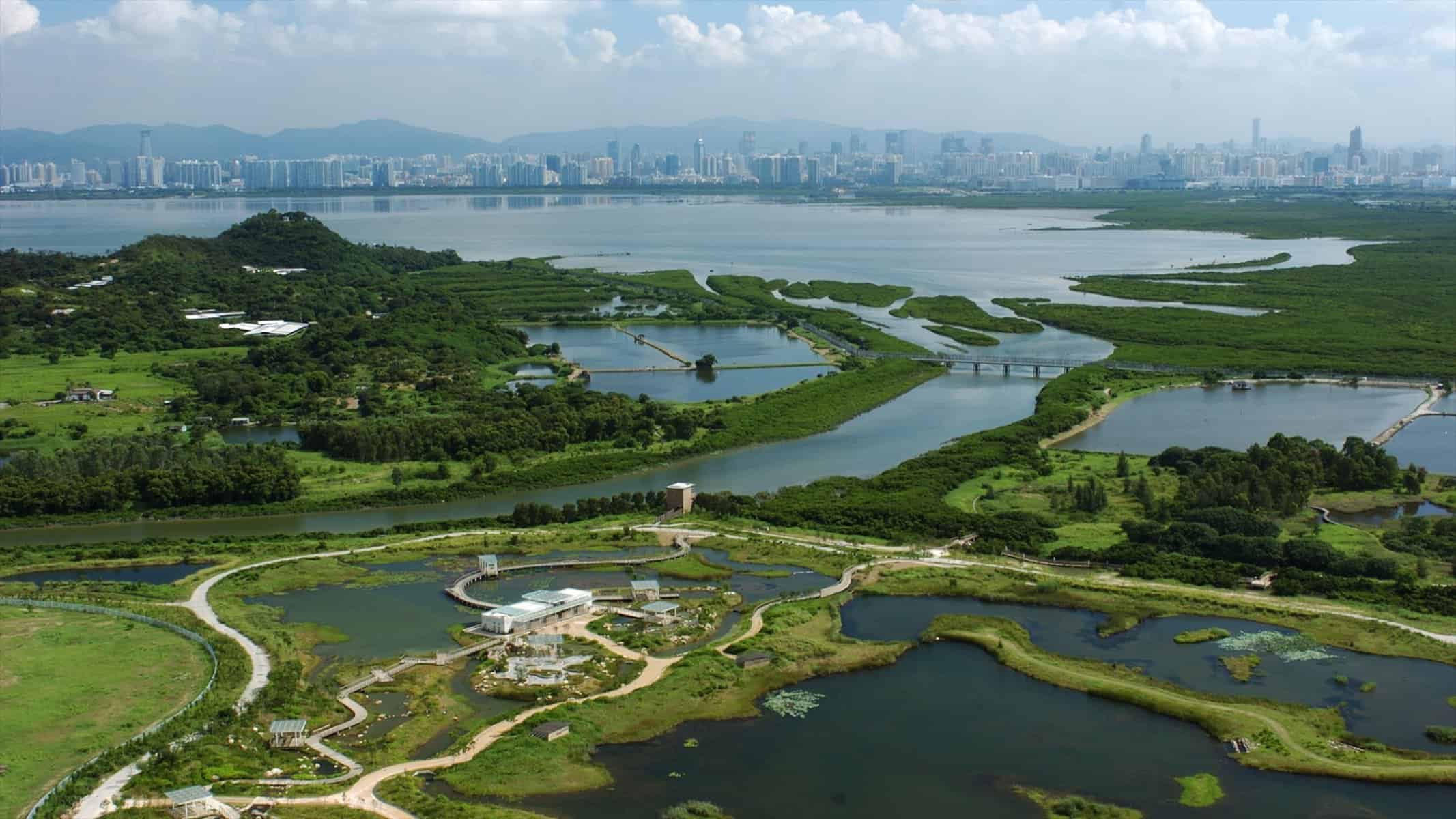 Free Attractions for Little Kids in Yuen Long New Territories