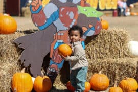 Free Attractions for Toddlers in Leander Texas