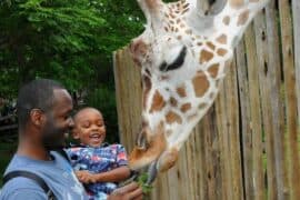 Free Attractions for Toddlers in Tyler Texas