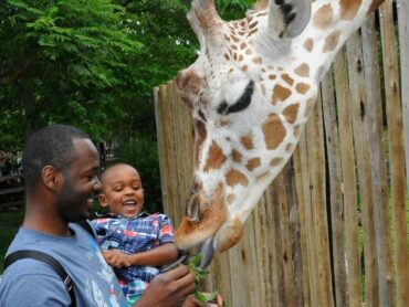 Free Attractions for Toddlers in Tyler Texas