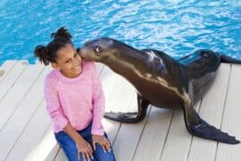 Free Attractions for Toddlers in Victoria Texas