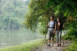 Free Attractions in Bukit Timah