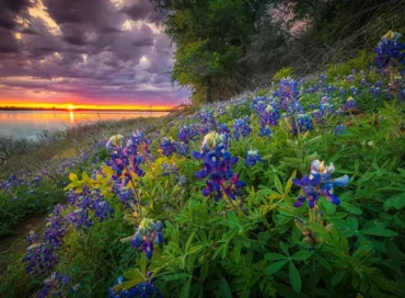 Free Attractions in Flower Mound town, Texas