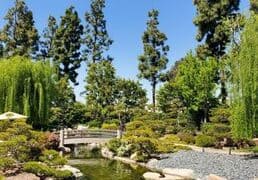 Free Attractions in Lakewood California