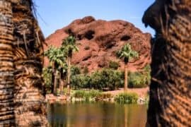 Free Attractions in Mesa Arizona