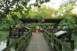 Free Attractions in Pasir Ris