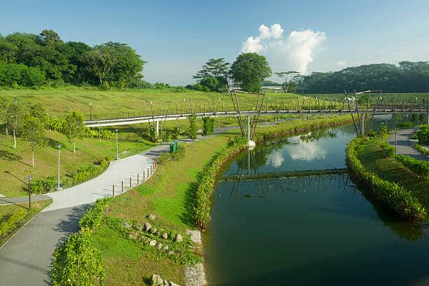 Free Attractions in Punggol