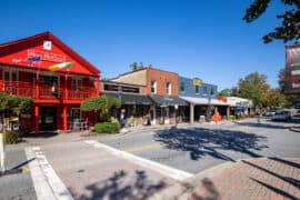 Free Attractions in Roswell Georgia