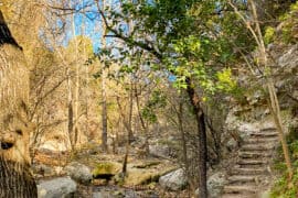 Free Attractions in Round Rock Texas