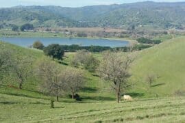 Free Attractions in Vacaville California