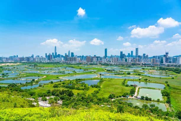 Free Attractions in Yuen Long New Territories