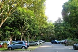 Free Parking in Bukit Timah