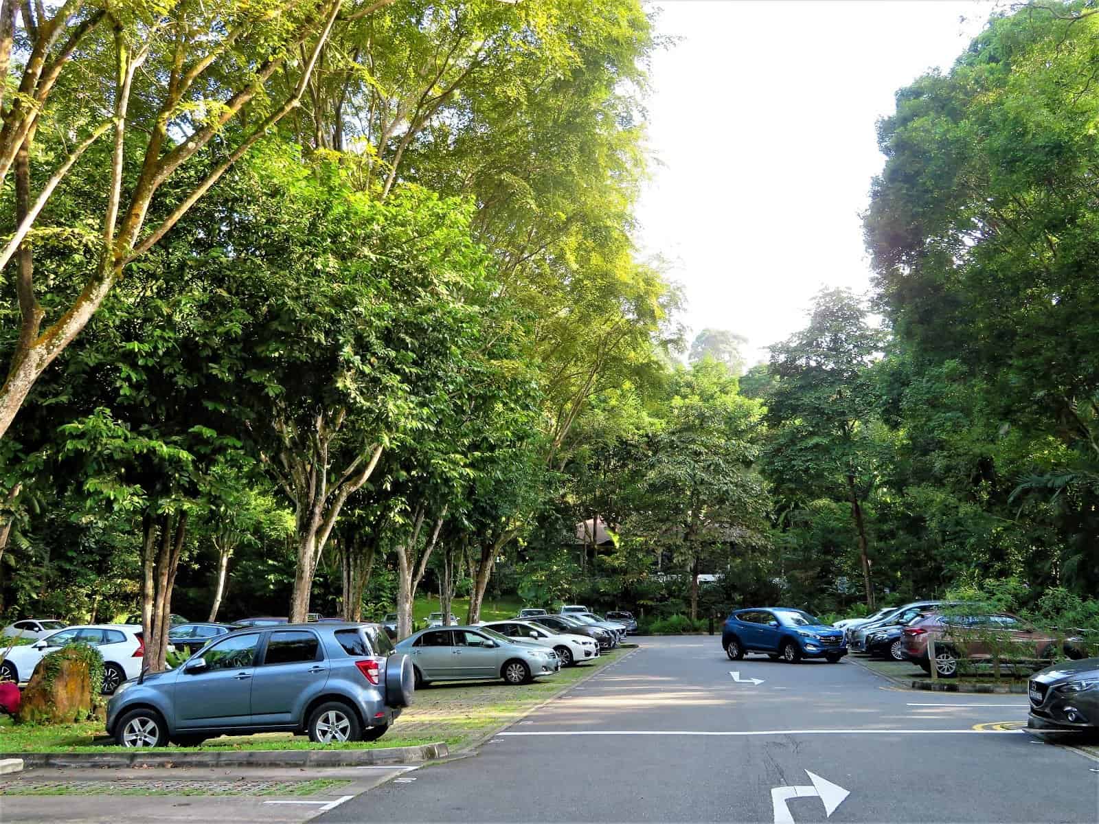 Free Parking in Bukit Timah