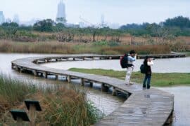 Free Things to do with Kids in Yuen Long New Territories