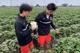 Fruit Picking for Kids in Bishan