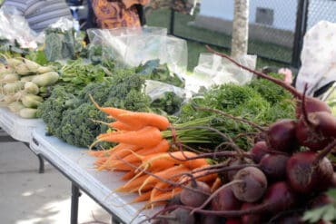 Fruit Picking for Kids in Brownsville Texas