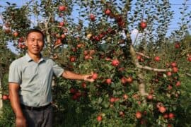 Fruit Picking for Kids in Bukit Batok