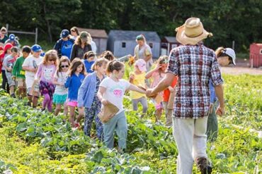 Fruit Picking for Kids in Cedar Park Texas