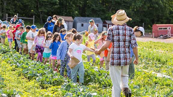 Fruit Picking for Kids in Cedar Park Texas