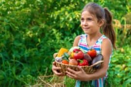 Fruit Picking for Kids in Chandler Arizona