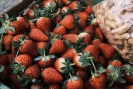 Fruit Picking for Kids in Chino California