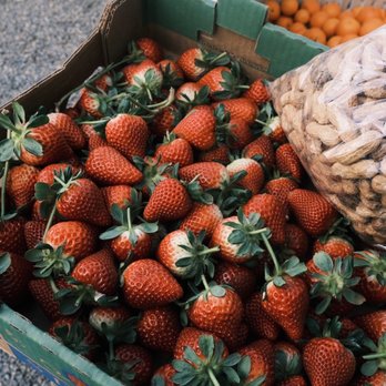 Fruit Picking for Kids in Chino California