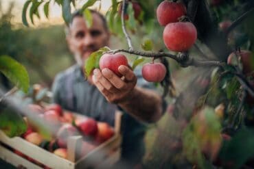 Fruit Picking for Kids in Chula Vista California