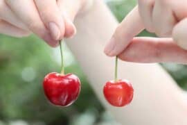 Fruit Picking for Kids in Eastern Hong Kong Island