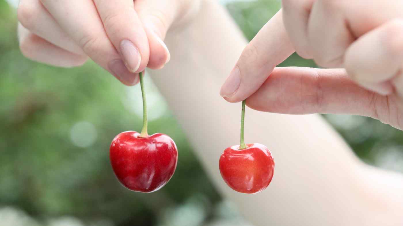 Fruit Picking for Kids in Eastern Hong Kong Island