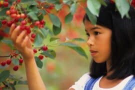 Fruit Picking for Kids in Gilbert Town Arizona