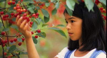 Fruit Picking for Kids in Gilbert Town Arizona