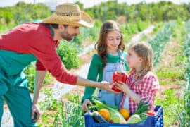 Fruit Picking for Kids in Hougang