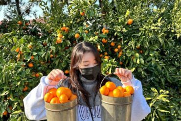 Fruit Picking for Kids in Kallang