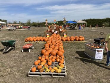 Fruit Picking for Kids in Killeen Texas