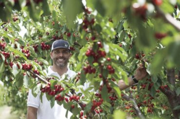 Fruit Picking for Kids in Lodi California