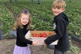 Fruit Picking for Kids in Marine Parade