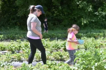 Fruit Picking for Kids in McKinney Texas