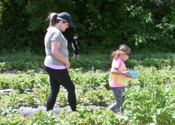 Fruit Picking for Kids in McKinney Texas