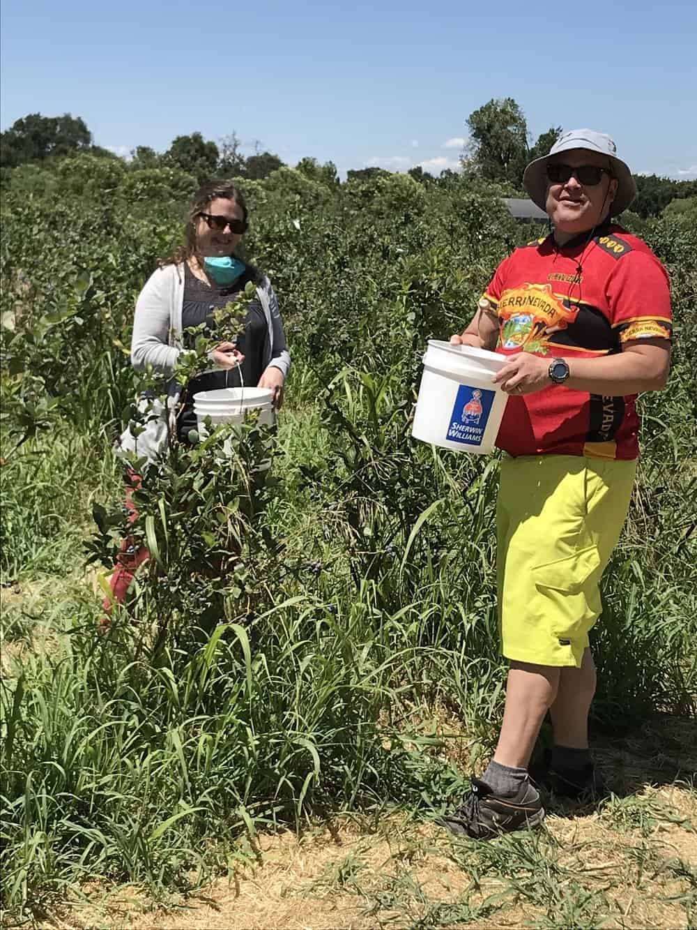 Fruit Picking for Kids in Merced California