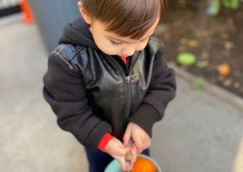 Fruit Picking for Kids in Milpitas California