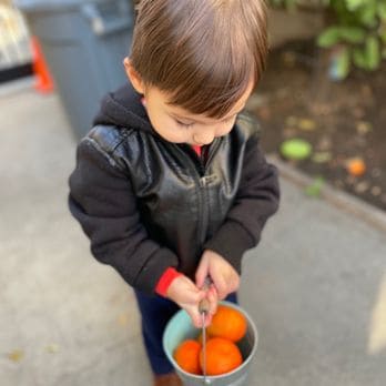 Fruit Picking for Kids in Milpitas California