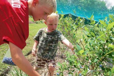 Fruit Picking for Kids in North Richland Hills Texas