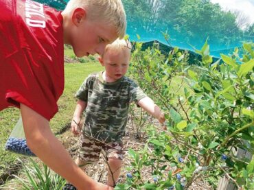 Fruit Picking for Kids in North Richland Hills Texas