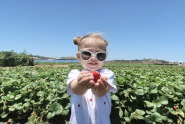 Fruit Picking for Kids in Oceanside California