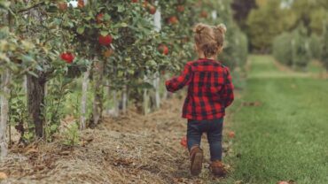 Fruit Picking for Kids in Ontario California